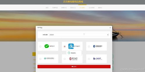 基于Node.js與Vue的貝貝熊母嬰用品商城設(shè)計(jì)與實(shí)現(xiàn)